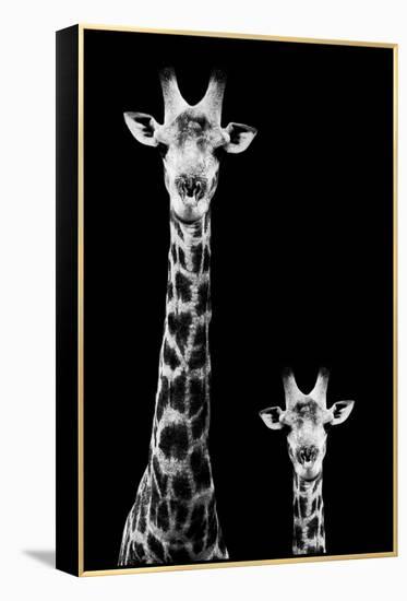 Safari Profile Collection - Giraffe and Baby Black Edition II-Philippe Hugonnard-Framed Premier Image Canvas