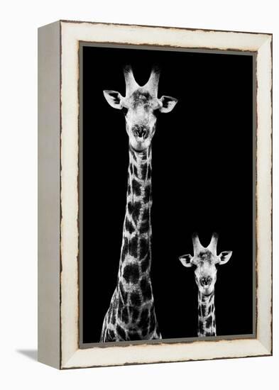 Safari Profile Collection - Giraffe and Baby Black Edition II-Philippe Hugonnard-Framed Premier Image Canvas