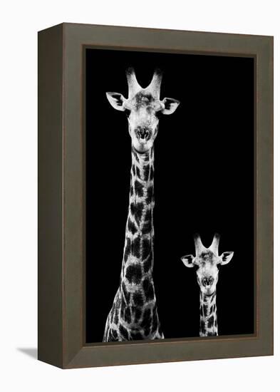 Safari Profile Collection - Giraffe and Baby Black Edition II-Philippe Hugonnard-Framed Premier Image Canvas