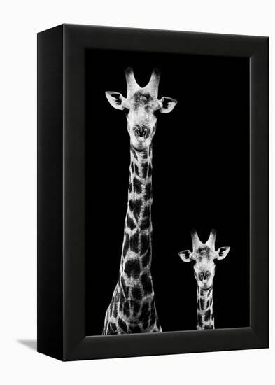 Safari Profile Collection - Giraffe and Baby Black Edition II-Philippe Hugonnard-Framed Premier Image Canvas