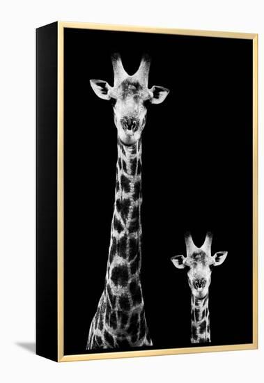 Safari Profile Collection - Giraffe and Baby Black Edition II-Philippe Hugonnard-Framed Premier Image Canvas