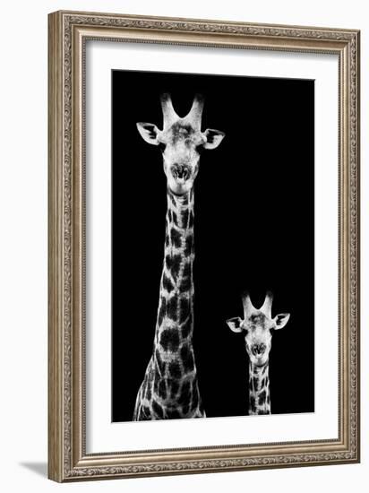 Safari Profile Collection - Giraffe and Baby Black Edition II-Philippe Hugonnard-Framed Photographic Print