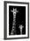Safari Profile Collection - Giraffe and Baby Black Edition II-Philippe Hugonnard-Framed Photographic Print