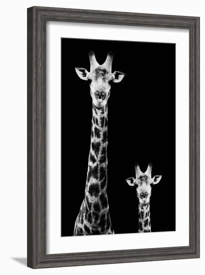 Safari Profile Collection - Giraffe and Baby Black Edition II-Philippe Hugonnard-Framed Photographic Print