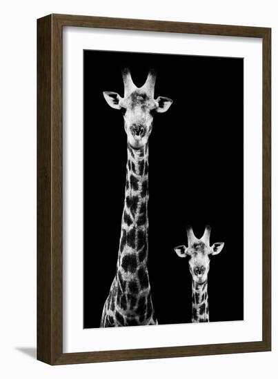 Safari Profile Collection - Giraffe and Baby Black Edition II-Philippe Hugonnard-Framed Photographic Print