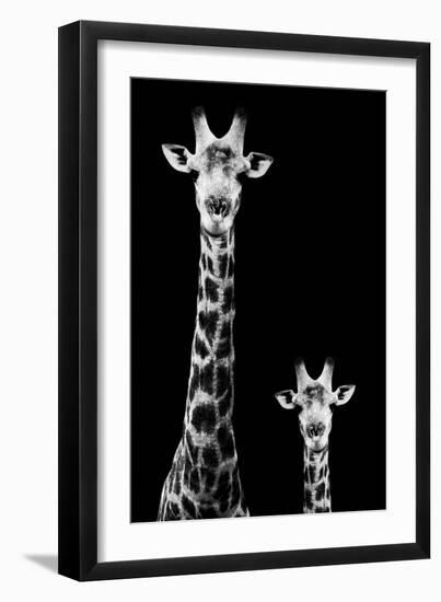 Safari Profile Collection - Giraffe and Baby Black Edition II-Philippe Hugonnard-Framed Photographic Print