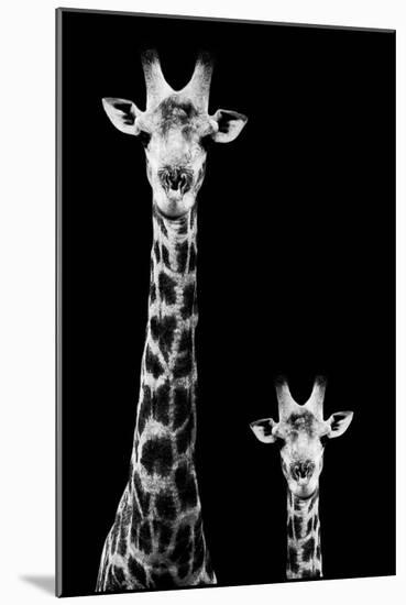 Safari Profile Collection - Giraffe and Baby Black Edition II-Philippe Hugonnard-Mounted Photographic Print
