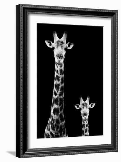 Safari Profile Collection - Giraffe and Baby Black Edition II-Philippe Hugonnard-Framed Photographic Print