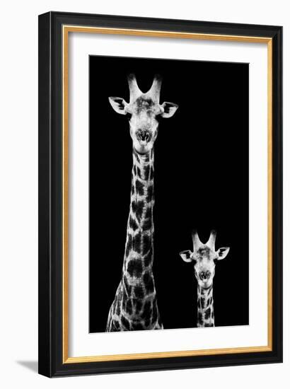 Safari Profile Collection - Giraffe and Baby Black Edition II-Philippe Hugonnard-Framed Photographic Print