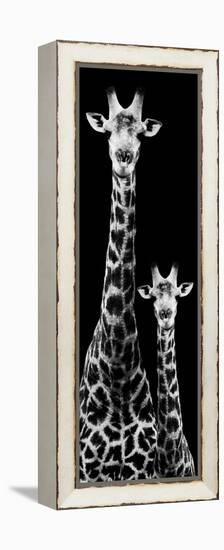 Safari Profile Collection - Giraffe and Baby Black Edition IV-Philippe Hugonnard-Framed Premier Image Canvas