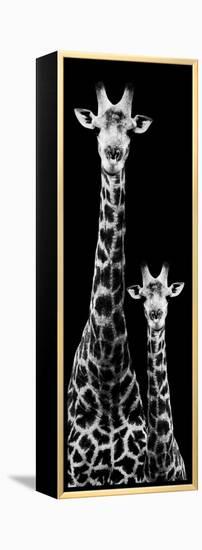 Safari Profile Collection - Giraffe and Baby Black Edition IV-Philippe Hugonnard-Framed Premier Image Canvas