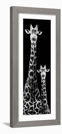 Safari Profile Collection - Giraffe and Baby Black Edition IV-Philippe Hugonnard-Framed Photographic Print