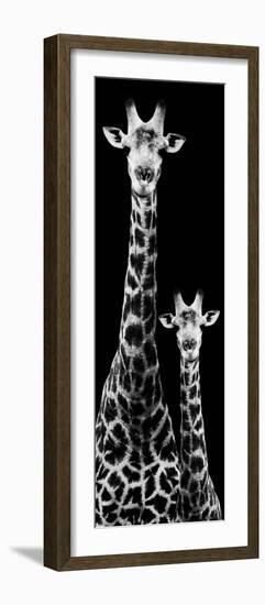 Safari Profile Collection - Giraffe and Baby Black Edition IV-Philippe Hugonnard-Framed Photographic Print