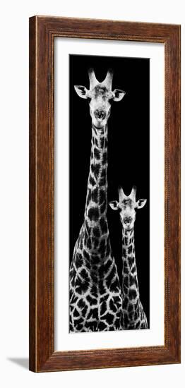 Safari Profile Collection - Giraffe and Baby Black Edition IV-Philippe Hugonnard-Framed Photographic Print