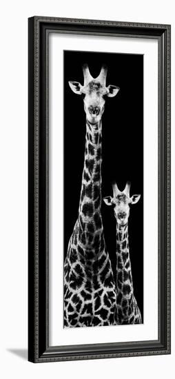 Safari Profile Collection - Giraffe and Baby Black Edition IV-Philippe Hugonnard-Framed Photographic Print