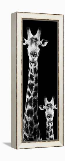 Safari Profile Collection - Giraffe and Baby Black Edition VI-Philippe Hugonnard-Framed Premier Image Canvas