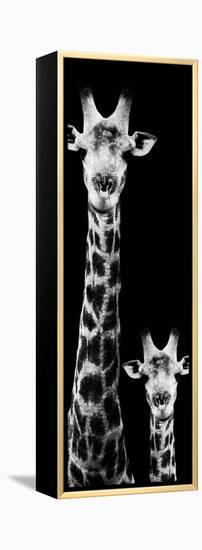 Safari Profile Collection - Giraffe and Baby Black Edition VI-Philippe Hugonnard-Framed Premier Image Canvas