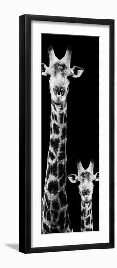 Safari Profile Collection - Giraffe and Baby Black Edition VI-Philippe Hugonnard-Framed Photographic Print