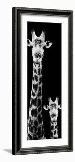 Safari Profile Collection - Giraffe and Baby Black Edition VI-Philippe Hugonnard-Framed Photographic Print