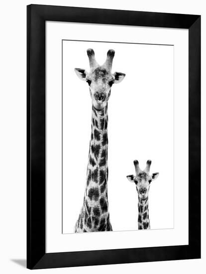 Safari Profile Collection - Giraffe and Baby White Edition II-Philippe Hugonnard-Framed Premium Photographic Print