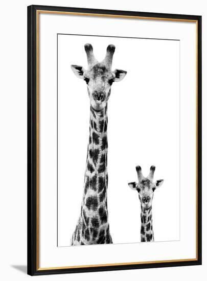 Safari Profile Collection - Giraffe and Baby White Edition II-Philippe Hugonnard-Framed Premium Photographic Print