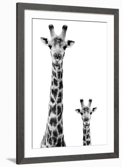 Safari Profile Collection - Giraffe and Baby White Edition II-Philippe Hugonnard-Framed Premium Photographic Print