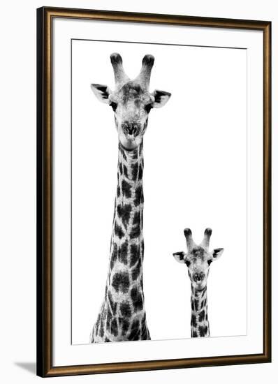 Safari Profile Collection - Giraffe and Baby White Edition II-Philippe Hugonnard-Framed Premium Photographic Print