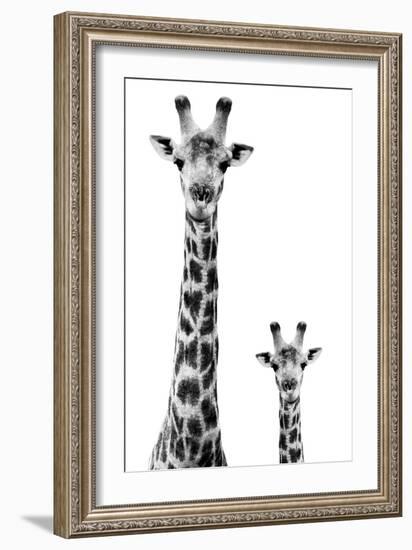 Safari Profile Collection - Giraffe and Baby White Edition II-Philippe Hugonnard-Framed Photographic Print