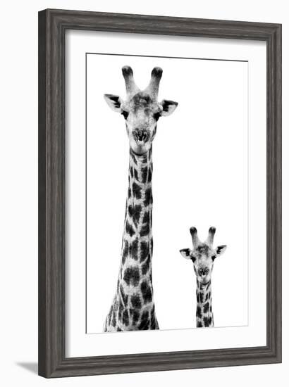 Safari Profile Collection - Giraffe and Baby White Edition II-Philippe Hugonnard-Framed Photographic Print