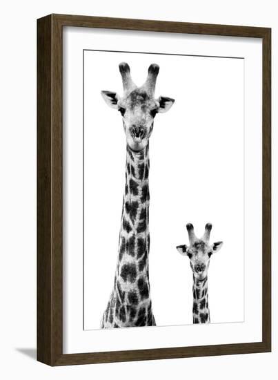 Safari Profile Collection - Giraffe and Baby White Edition II-Philippe Hugonnard-Framed Photographic Print