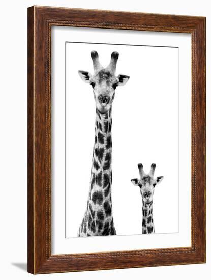 Safari Profile Collection - Giraffe and Baby White Edition II-Philippe Hugonnard-Framed Photographic Print