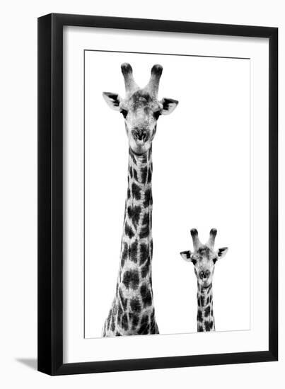 Safari Profile Collection - Giraffe and Baby White Edition II-Philippe Hugonnard-Framed Photographic Print