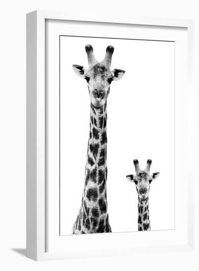 Safari Profile Collection - Giraffe and Baby White Edition II-Philippe Hugonnard-Framed Photographic Print