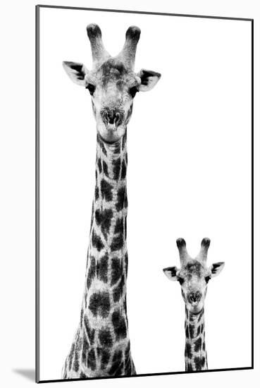 Safari Profile Collection - Giraffe and Baby White Edition II-Philippe Hugonnard-Mounted Photographic Print