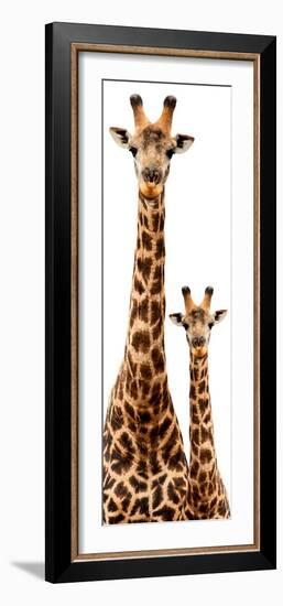 Safari Profile Collection - Giraffe and Baby White Edition III-Philippe Hugonnard-Framed Photographic Print