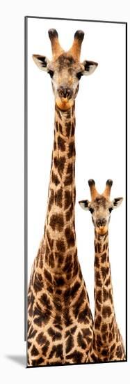 Safari Profile Collection - Giraffe and Baby White Edition III-Philippe Hugonnard-Mounted Photographic Print