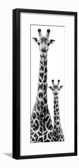 Safari Profile Collection - Giraffe and Baby White Edition IV-Philippe Hugonnard-Framed Premium Photographic Print