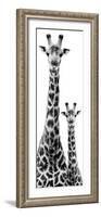 Safari Profile Collection - Giraffe and Baby White Edition IV-Philippe Hugonnard-Framed Photographic Print