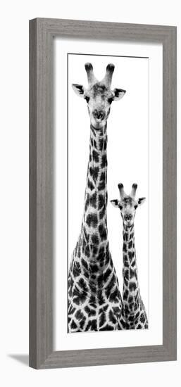 Safari Profile Collection - Giraffe and Baby White Edition IV-Philippe Hugonnard-Framed Photographic Print