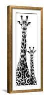 Safari Profile Collection - Giraffe and Baby White Edition IV-Philippe Hugonnard-Framed Photographic Print