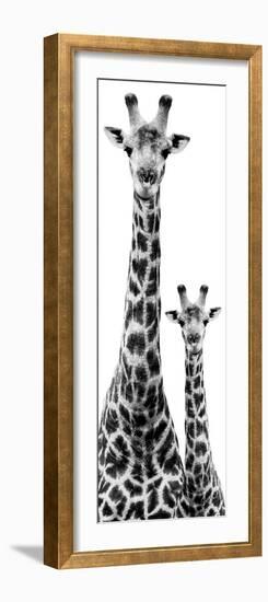 Safari Profile Collection - Giraffe and Baby White Edition IV-Philippe Hugonnard-Framed Photographic Print