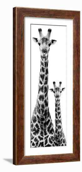 Safari Profile Collection - Giraffe and Baby White Edition IV-Philippe Hugonnard-Framed Photographic Print