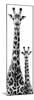 Safari Profile Collection - Giraffe and Baby White Edition IV-Philippe Hugonnard-Mounted Photographic Print