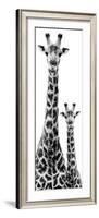 Safari Profile Collection - Giraffe and Baby White Edition IV-Philippe Hugonnard-Framed Photographic Print
