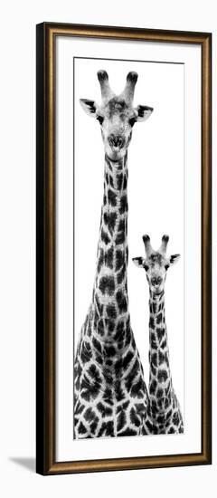 Safari Profile Collection - Giraffe and Baby White Edition IV-Philippe Hugonnard-Framed Photographic Print