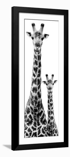 Safari Profile Collection - Giraffe and Baby White Edition IV-Philippe Hugonnard-Framed Photographic Print