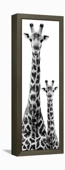 Safari Profile Collection - Giraffe and Baby White Edition IV-Philippe Hugonnard-Framed Premier Image Canvas