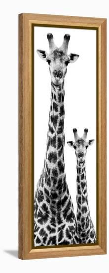 Safari Profile Collection - Giraffe and Baby White Edition IV-Philippe Hugonnard-Framed Premier Image Canvas