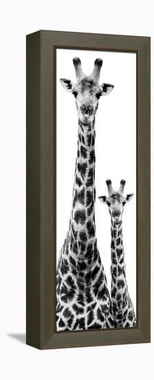 Safari Profile Collection - Giraffe and Baby White Edition IV-Philippe Hugonnard-Framed Premier Image Canvas