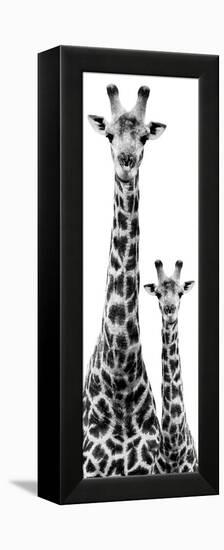 Safari Profile Collection - Giraffe and Baby White Edition IV-Philippe Hugonnard-Framed Premier Image Canvas